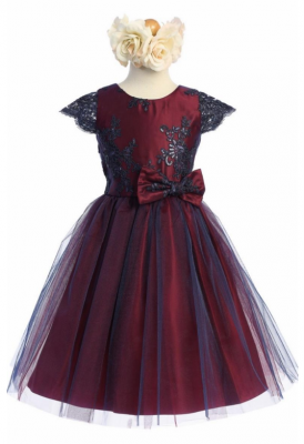 Navy Burgundy Cap Sleeved Embroidered Lace and Tulle Dress