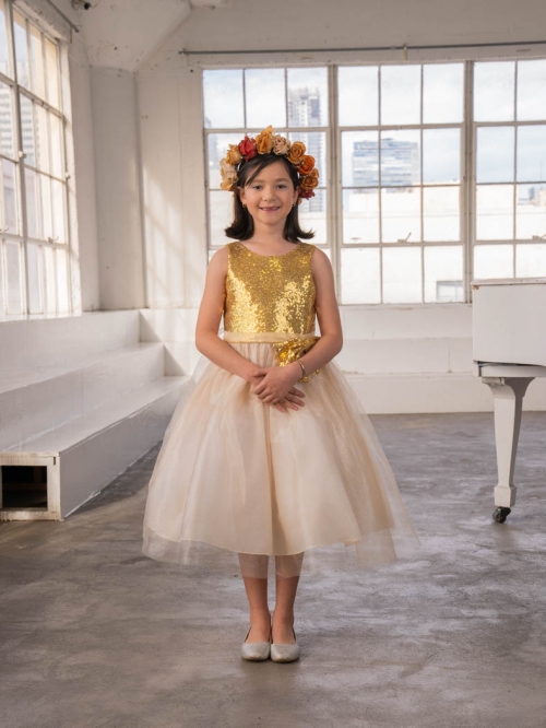 Gold tulle skirt hotsell