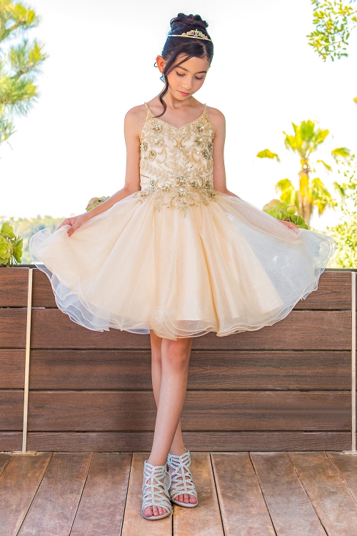 Cinderella couture flower girl dresses on sale